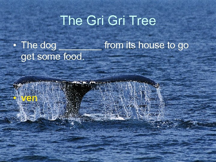 The Gri Tree • The dog ____ from its house to go get some