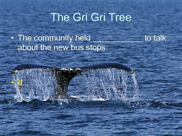 The Gri Tree • The community held ______ to talk about the new bus