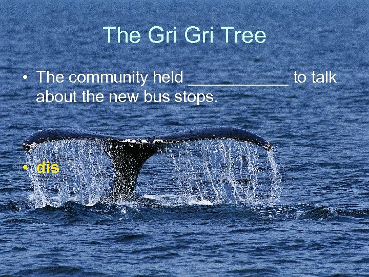 The Gri Tree • The community held ______ to talk about the new bus