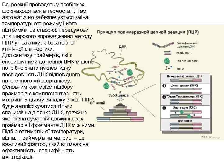 Всі реакції проводять у пробірках, що знаходяться в термостаті. Там автоматично забезпечується зміна температурного