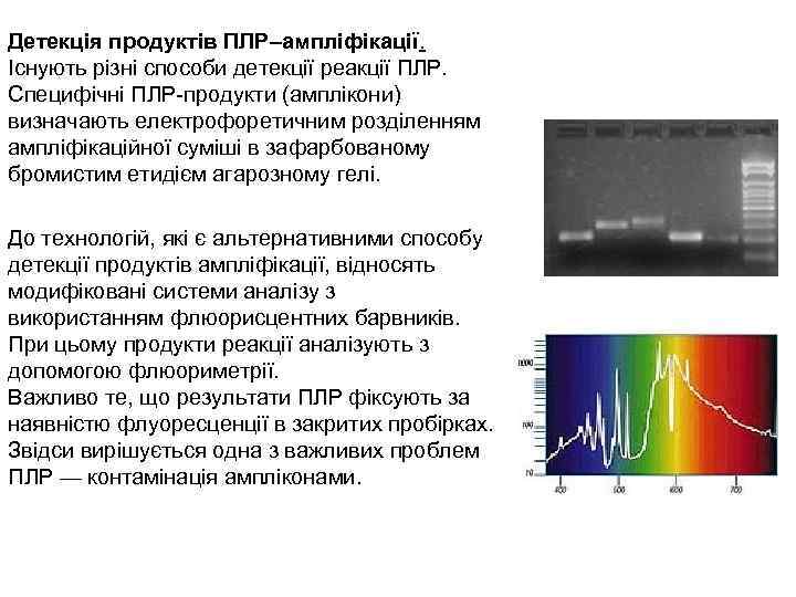 Детекція продуктів ПЛР–ампліфікації. Існують різні способи детекції реакції ПЛР. Специфічні ПЛР-продукти (амплікони) визначають електрофоретичним