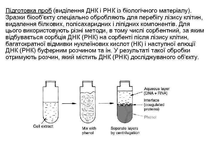 Підготовка проб (виділення ДНК і РНК із біологічного матеріалу). Зразки біооб’єкту спеціально обробляють для
