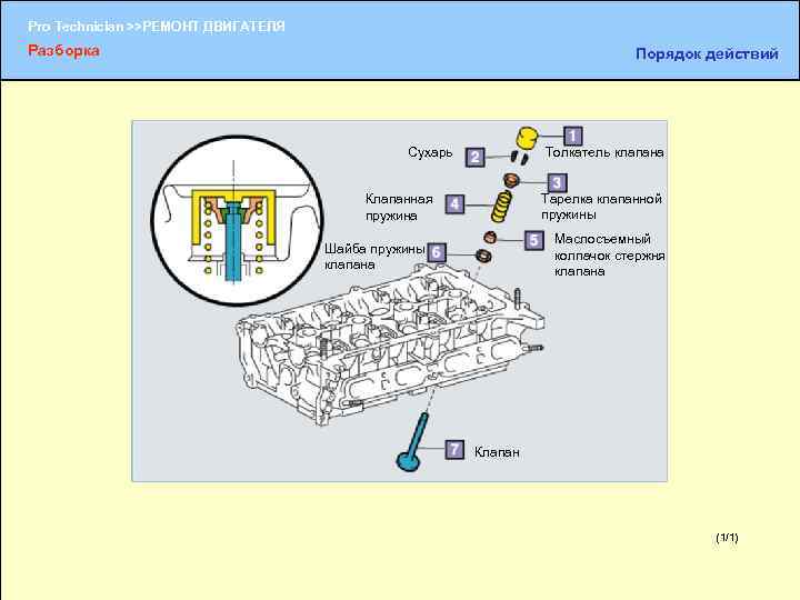 Pro Technician >>РЕМОНТ ДВИГАТЕЛЯ Разборка Порядок действий Сухарь Толкатель клапана Тарелка клапанной пружины Клапанная