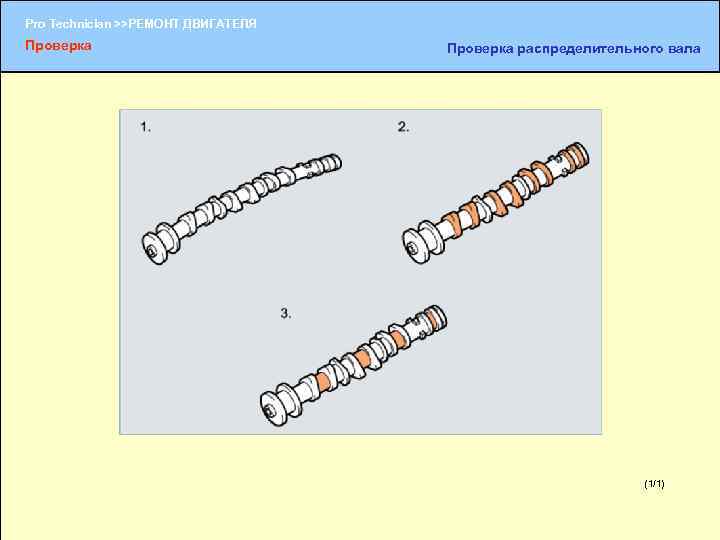 Pro Technician >>РЕМОНТ ДВИГАТЕЛЯ Проверка распределительного вала (1/1) (1/2) 