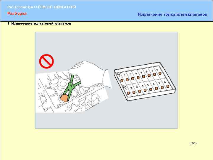 Pro Technician >>РЕМОНТ ДВИГАТЕЛЯ Разборка Извлечение толкателей клапанов 1. Извлечение толкателей клапанов (1/1) (1/2)