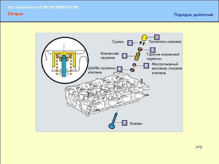 Pro Technician >>РЕМОНТ ДВИГАТЕЛЯ Сборка Порядок действий Сухарь Толкатель клапана Клапанная пружина Тарелка клапанной