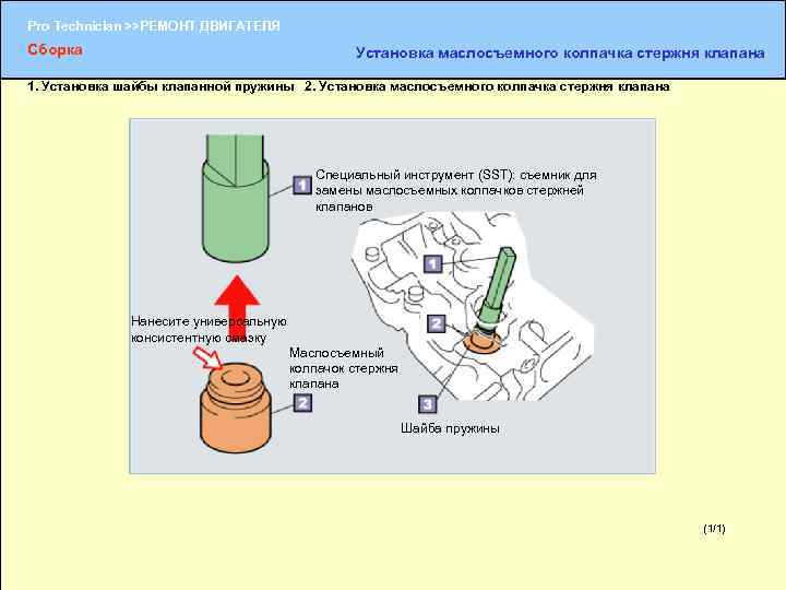 Pro Technician >>РЕМОНТ ДВИГАТЕЛЯ Сборка Установка маслосъемного колпачка стержня клапана 1. Установка шайбы клапанной