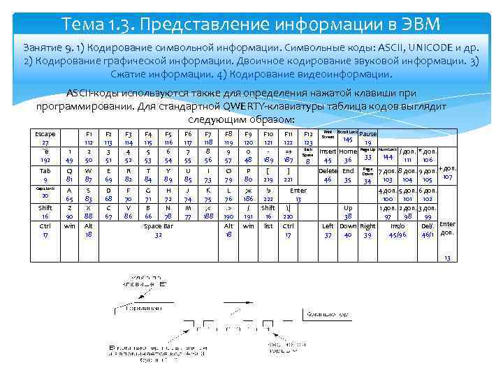 Тема 1. 3. Представление информации в ЭВМ Занятие 9. 1) Кодирование символьной информации. Символьные