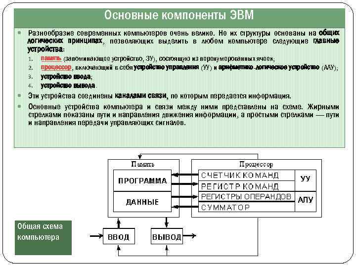 Основные компоненты ЭВМ Разнообразие современных компьютеров очень велико. Но их структуры основаны на общих