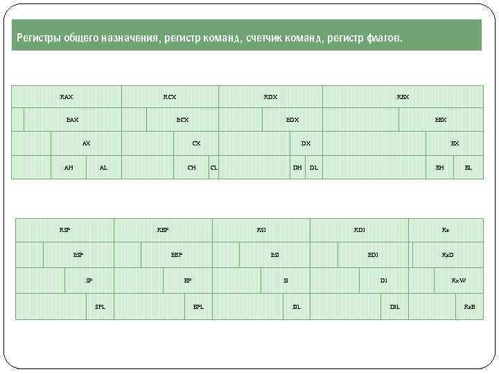Регистры общего назначения, регистр команд, счетчик команд, регистр флагов. RAX RCX EAX RDX ECX