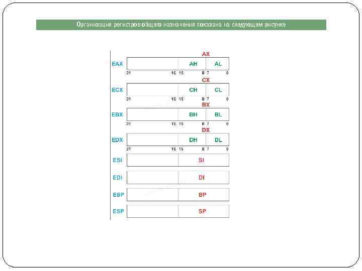 Организация регистров общего назначения показана на следующем рисунке 