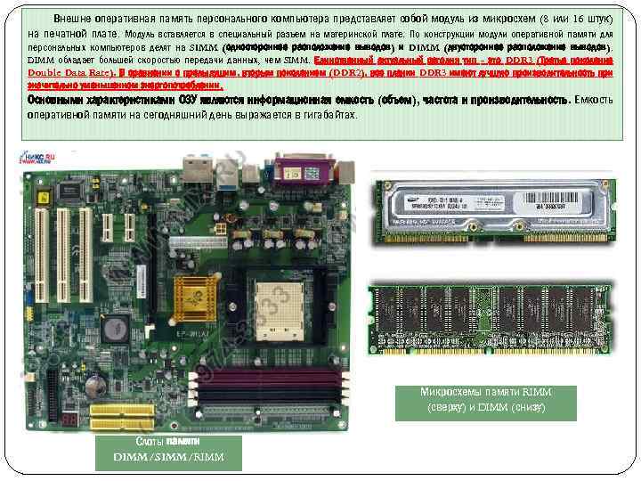 Внешне оперативная память персонального компьютера представляет собой модуль из микросхем (8 или 16 штук)