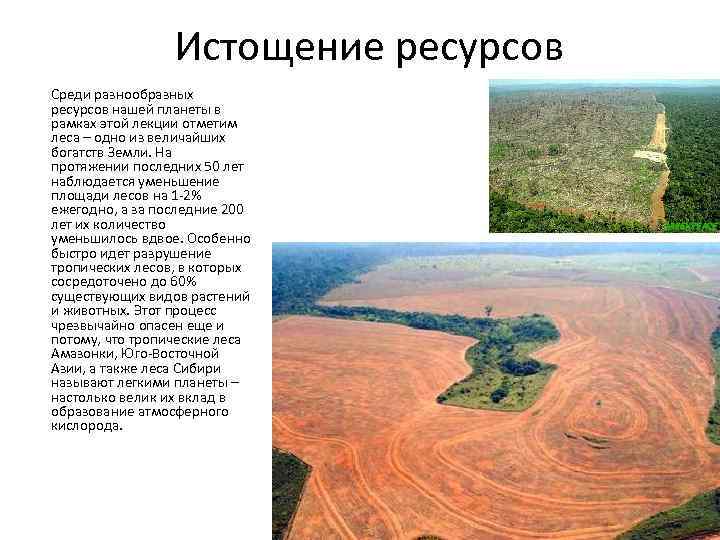 Истощение ресурсов Среди разнообразных ресурсов нашей планеты в рамках этой лекции отметим леса –