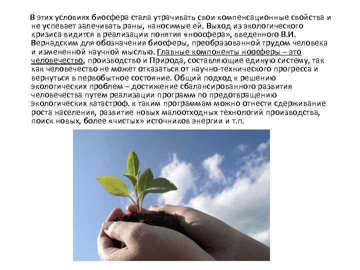  В этих условиях биосфера стала утрачивать свои компенсационные свойства и не успевает залечивать