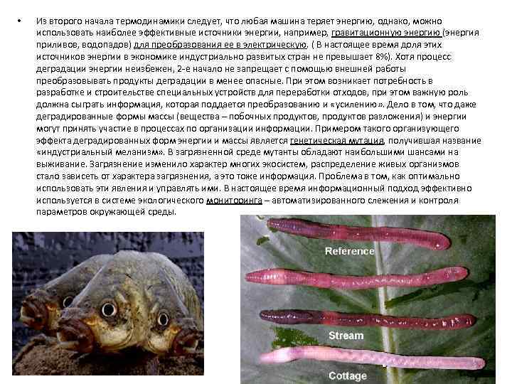  • Из второго начала термодинамики следует, что любая машина теряет энергию, однако, можно