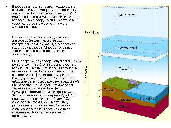 Границы биосферы в атмосфере определяются