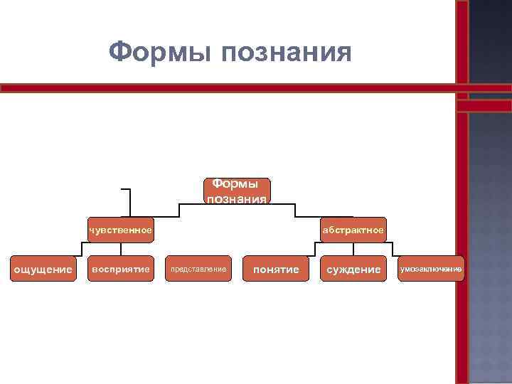 Формы чувственного познания восприятие представление. Ощущение восприятие представление понятие суждение умозаключение. Ощущение восприятие представление суждение умозаключение. Понятие суждение умозаключение ощущение представление. Формы познания понятие ощущение представление.