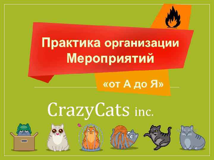 Crazy. Cats inc. 