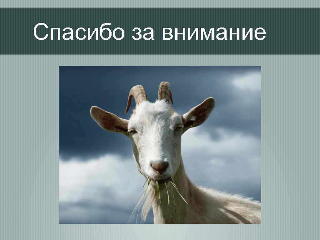 Спасибо за внимание 