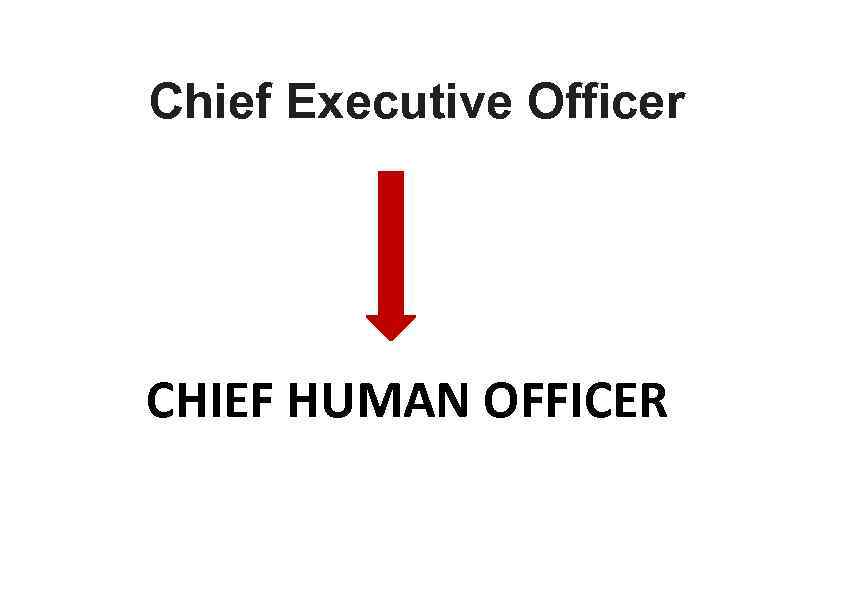 Chief Executive Officer CHIEF HUMAN OFFICER 