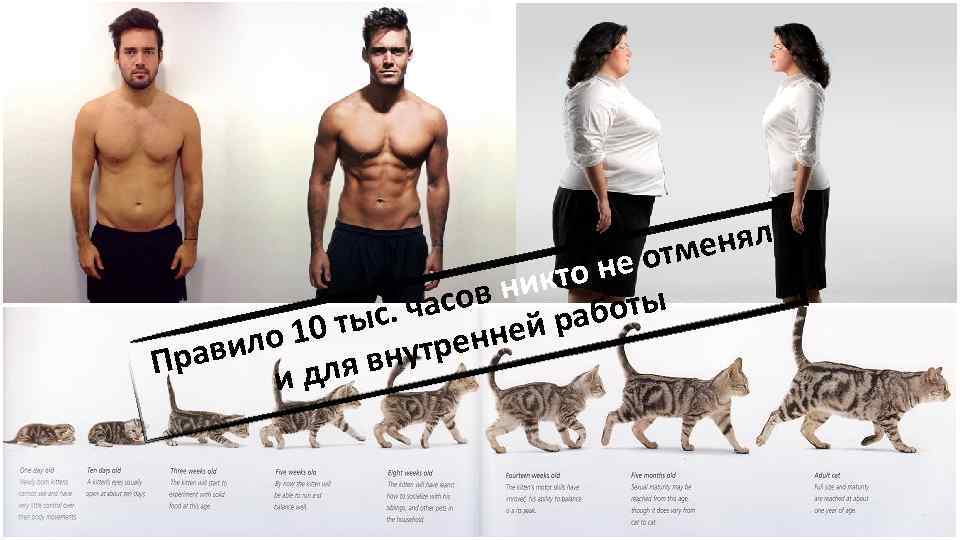 енял е отм кто н в ни. часо й работы 0 тыс ренне ло