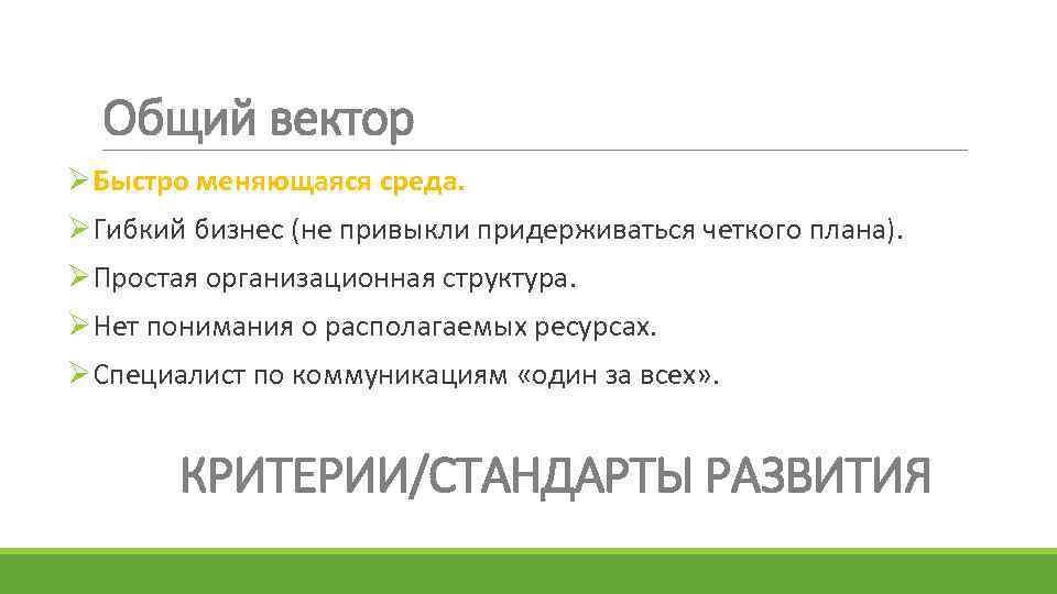 Общий вектор ØБыстро меняющаяся среда. ØГибкий бизнес (не привыкли придерживаться четкого плана). ØПростая организационная