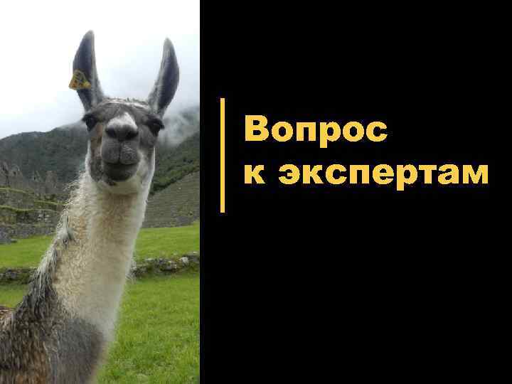 Вопрос к экспертам 