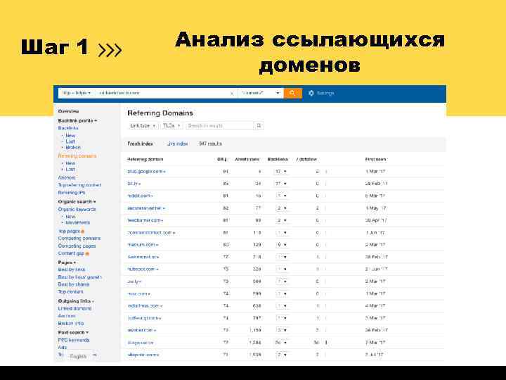 Шаг 1 Анализ ссылающихся доменов 