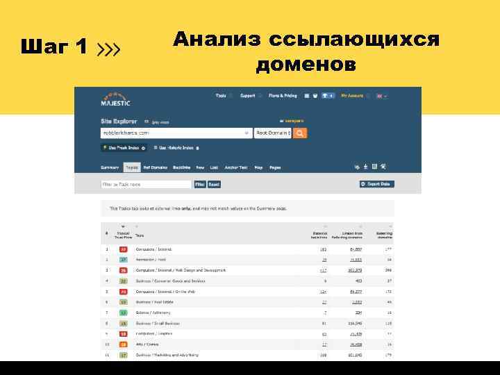 Шаг 1 Анализ ссылающихся доменов 
