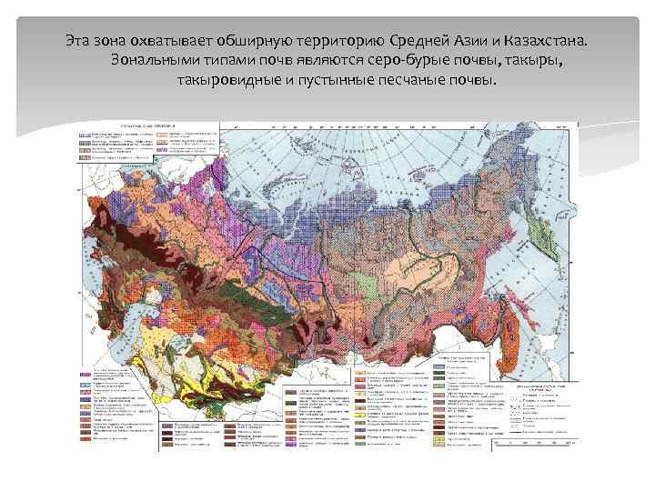 Эта зона охватывает обширную территорию Средней Азии и Казахстана. Зональными типами почв являются серо-бурые