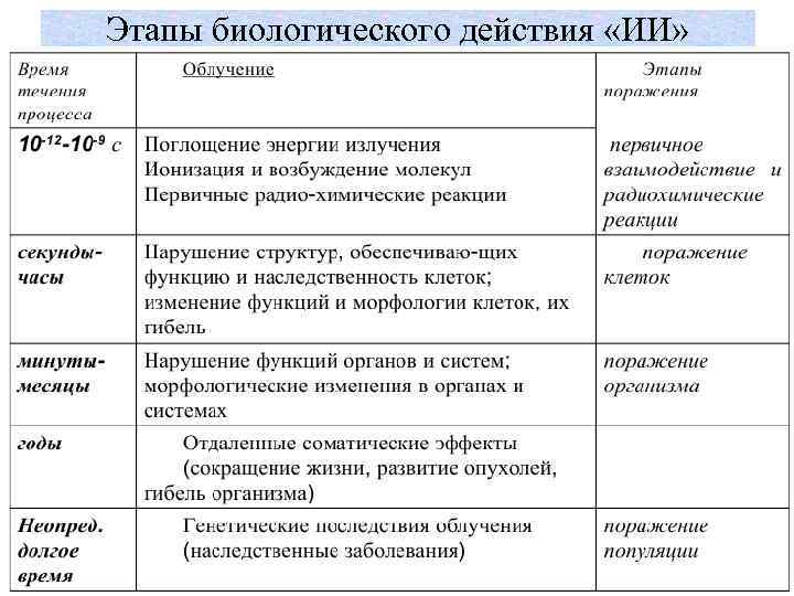 Этапы биологического действия «ИИ» 