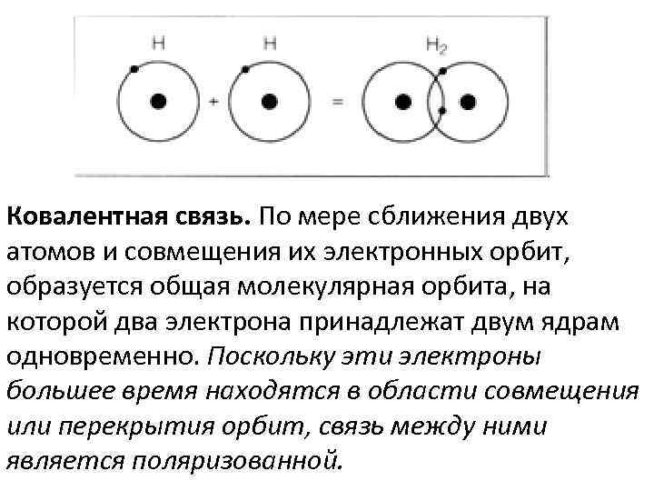 Ковалентная связь. По мере сближения двух атомов и совмещения их электронных орбит, образуется общая