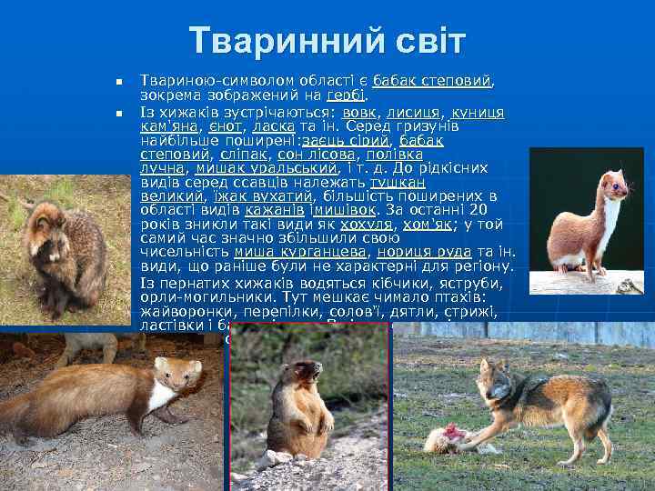 Тваринний світ n n n Твариною-символом області є бабак степовий, зокрема зображений на гербі.