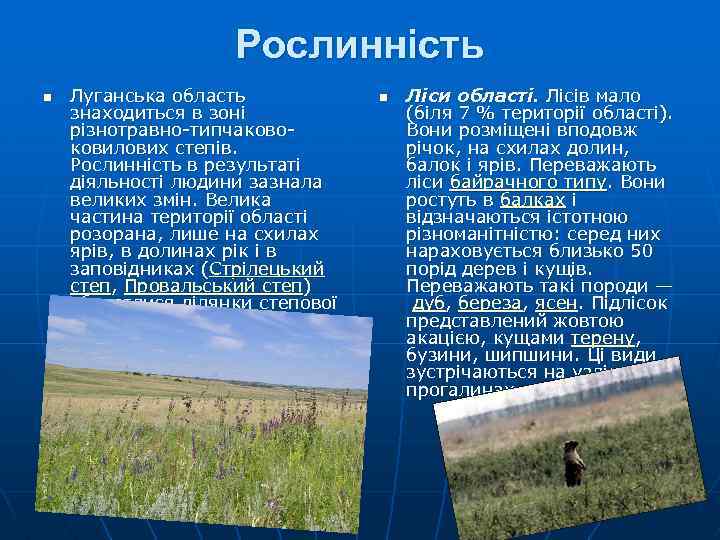 Рослинність n Луганська область знаходиться в зоні різнотравно-типчаковоковилових степів. Рослинність в результаті діяльності людини