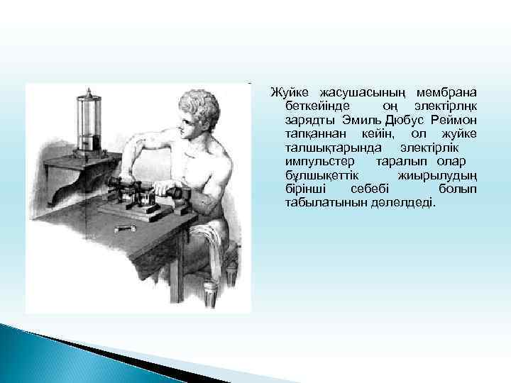 Жуйке жасушасының мембрана беткейінде оң электірлңк зарядты Эмиль Дюбус Реймон тапқаннан кейін, ол жуйке