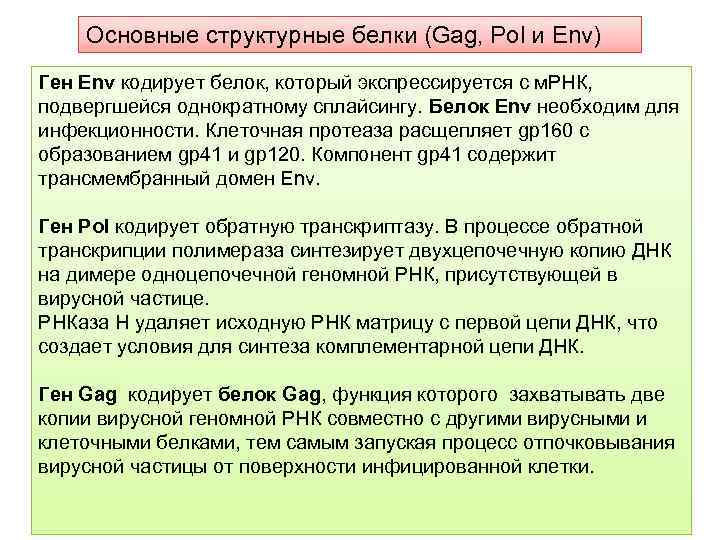 Основные структурные белки (Gag, Pol и Env) Ген Env кодирует белок, который экспрессируется с