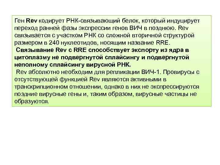 Ген Rev кодирует РНК-связывающий белок, который индуцирует переход ранней фазы экспрессии генов ВИЧ в