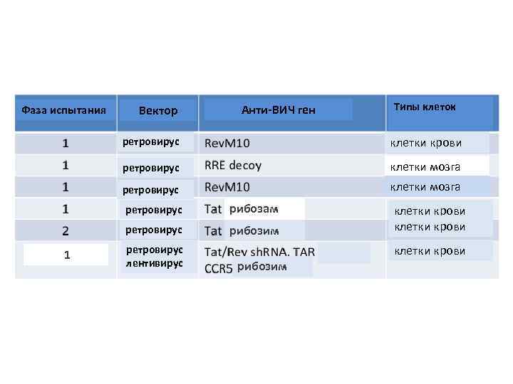 Фаза испытания Вектор Анти-ВИЧ ген Типы клеток ретровирус клетки крови ретровирус клетки мозга ретровирус