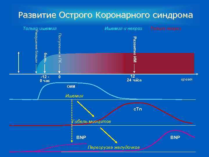 Развитие Острого Коронарного синдрома 0 Только некроз Развитие ИМ -12 0 час Ишемия и