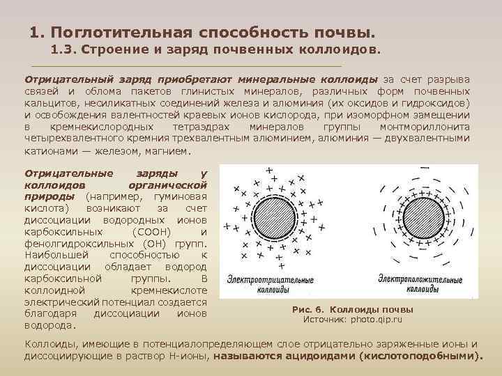 1. Поглотительная способность почвы. 1. 3. Строение и заряд почвенных коллоидов. Отрицательный заряд приобретают