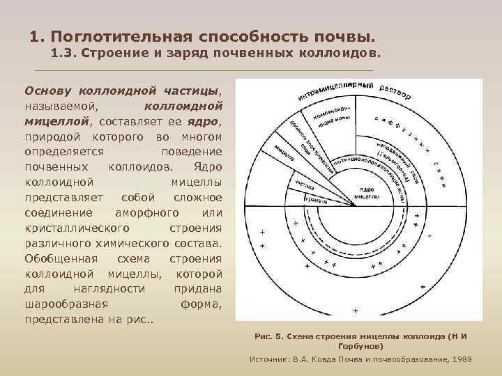 1. Поглотительная способность почвы. 1. 3. Строение и заряд почвенных коллоидов. Основу коллоидной частицы,