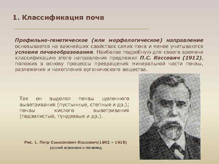 1. Классификация почв Профильно-генетическое (или морфологическое) направление основывается на важнейших свойствах самих почв и