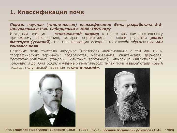 1. Классификация почв Первая научная (генетическая) классификация была разработана В. В. Докучаевым и Н.