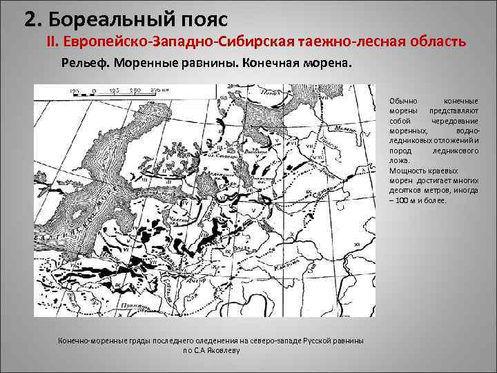 2. Бореальный пояс II. Европейско-Западно-Сибирская таежно-лесная область Рельеф. Моренные равнины. Конечная морена. Обычно конечные