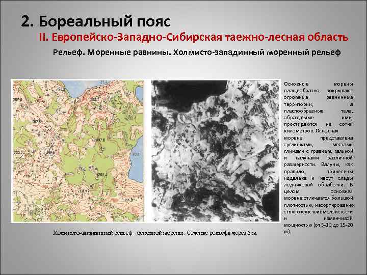 2. Бореальный пояс II. Европейско-Западно-Сибирская таежно-лесная область Рельеф. Моренные равнины. Холмисто-западинный моренный рельеф Холмисто-западинный