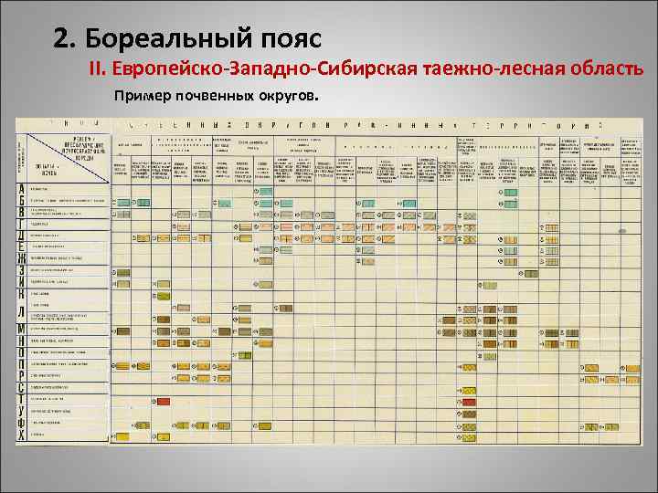 2. Бореальный пояс II. Европейско-Западно-Сибирская таежно-лесная область Пример почвенных округов. 