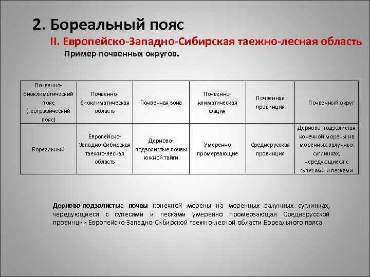 2. Бореальный пояс II. Европейско-Западно-Сибирская таежно-лесная область Пример почвенных округов. Почвенно биоклиматический пояс биоклиматическая