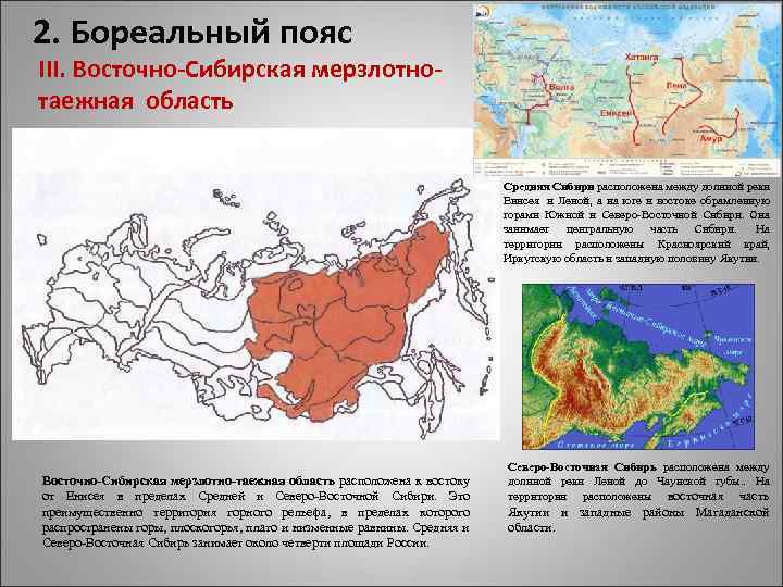 2. Бореальный пояс III. Восточно-Сибирская мерзлотнотаежная область Средняя Сибири расположена между долиной реки Енисея