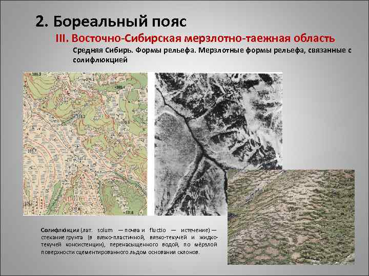 2. Бореальный пояс III. Восточно-Сибирская мерзлотно-таежная область Средняя Сибирь. Формы рельефа. Мерзлотные формы рельефа,