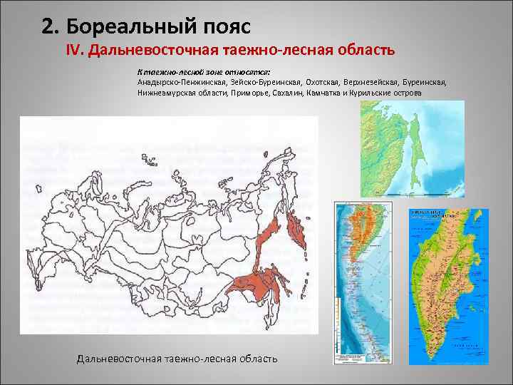 2. Бореальный пояс IV. Дальневосточная таежно-лесная область К таежно-лесной зоне относятся: Анадырско Пенжинская, Зейско